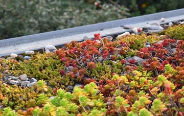 the cost of Culverlane green roof installation