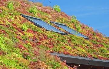 Culverlane living roof systems